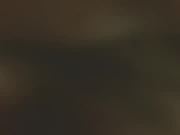 allison___taylor live cam on chaturbate