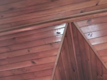 azul_veraa on chaturbate