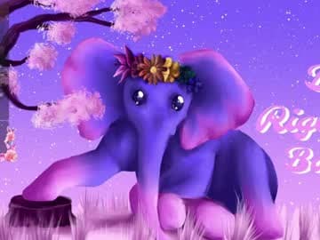 mollymurrrr live cam on chaturbate