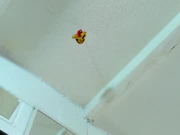 tafari_1 on chaturbate